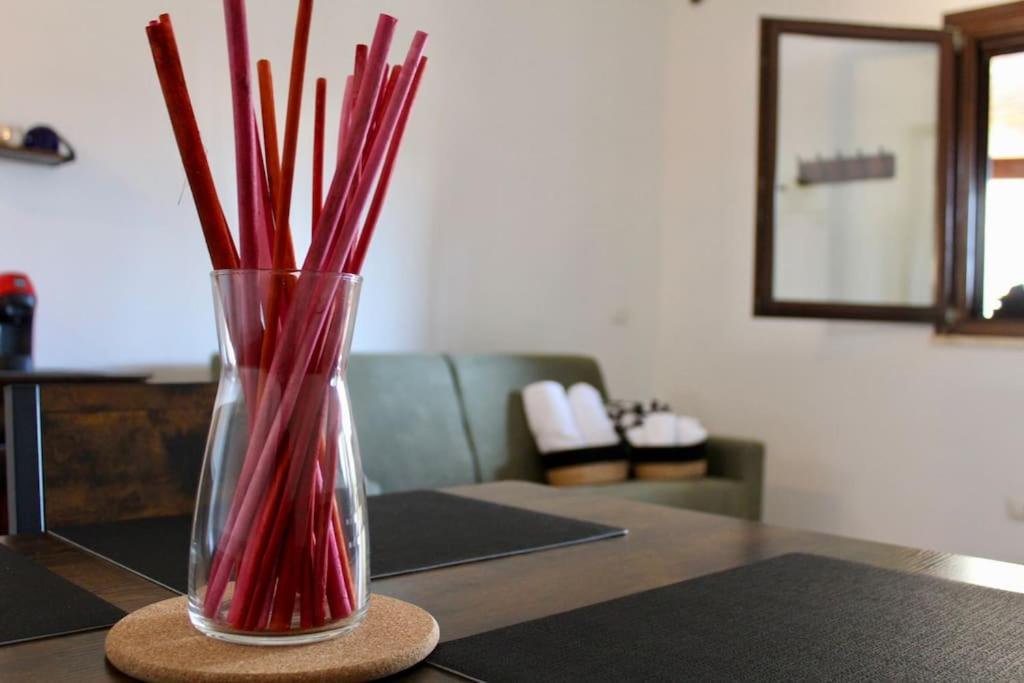 The Garden House Fco, Self Check In And Free Private Parking Apartment Fiumicino Exterior foto